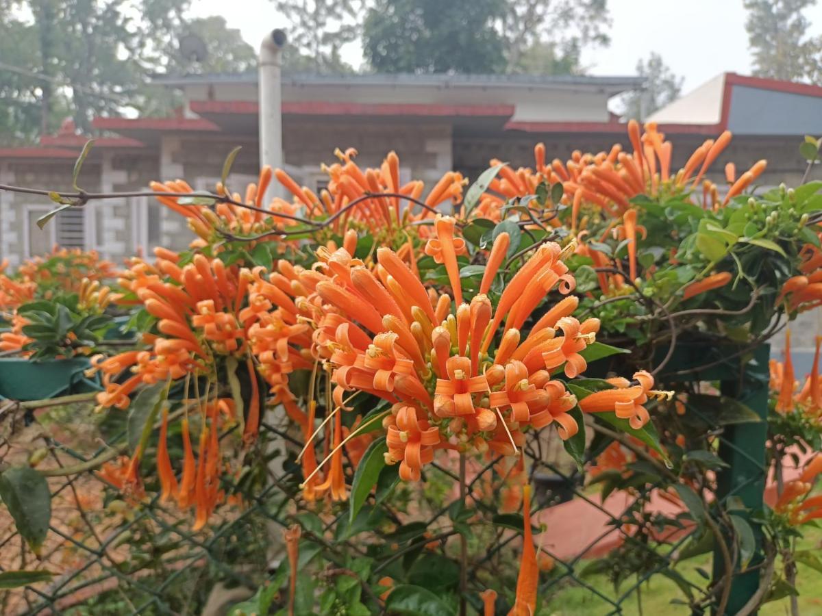 Coorg Kolamotte Hotel Gonikoppal ภายนอก รูปภาพ