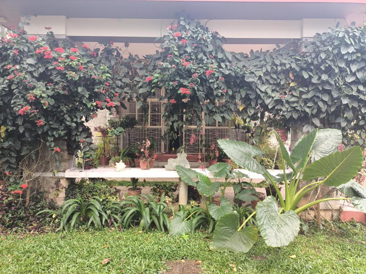 Coorg Kolamotte Hotel Gonikoppal ภายนอก รูปภาพ
